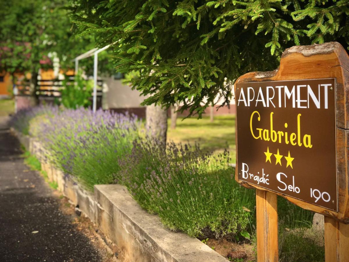 Apartment Gabriela ราโควิซา ภายนอก รูปภาพ
